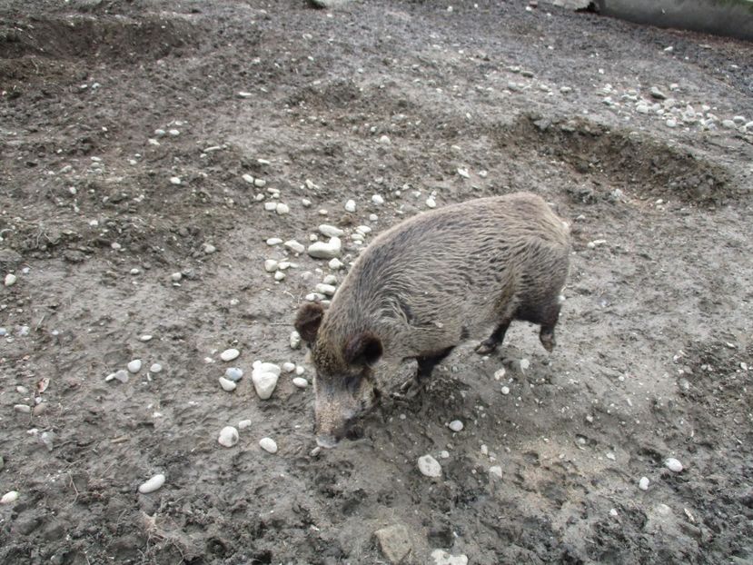  - 2017 - Excursie februarie