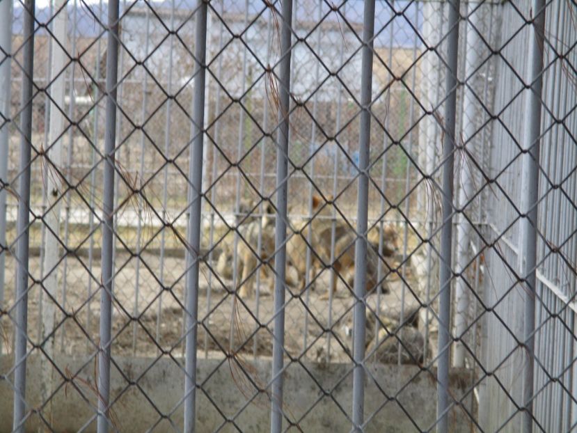  - 2017 - Excursie februarie