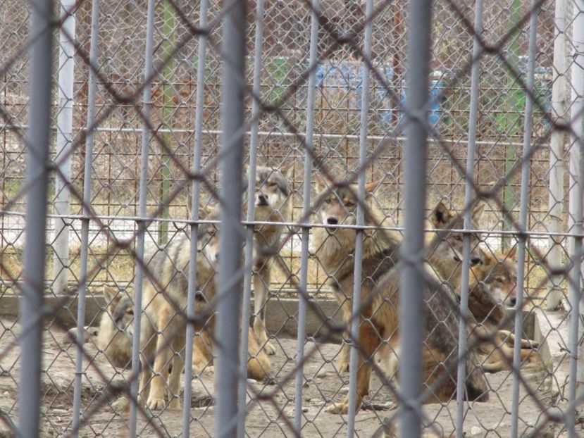  - 2017 - Excursie februarie