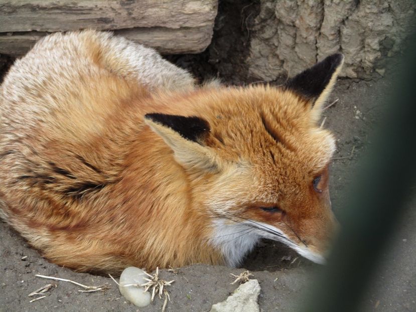  - 2017 - Excursie februarie