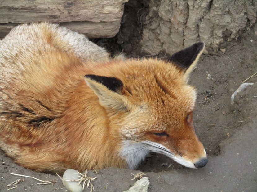  - 2017 - Excursie februarie