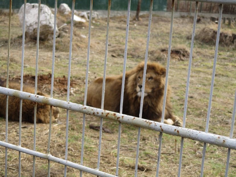  - 2017 - Excursie februarie