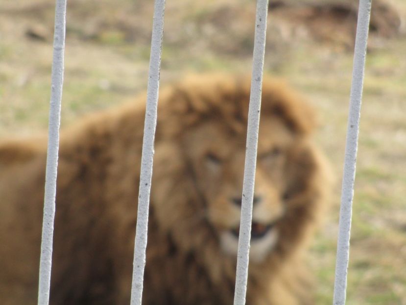  - 2017 - Excursie februarie