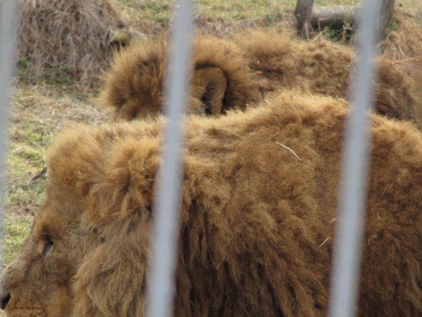  - 2017 - Excursie februarie