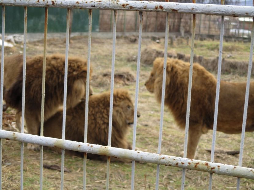  - 2017 - Excursie februarie