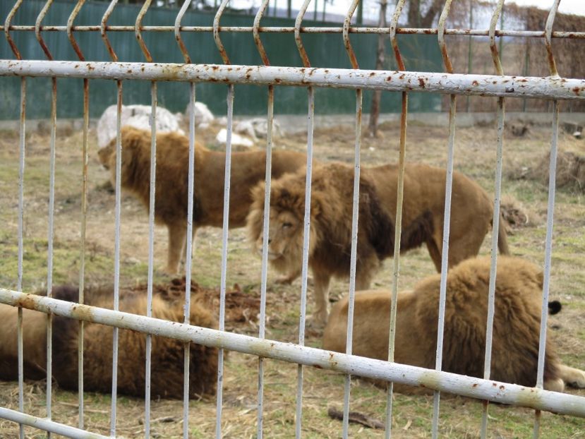  - 2017 - Excursie februarie