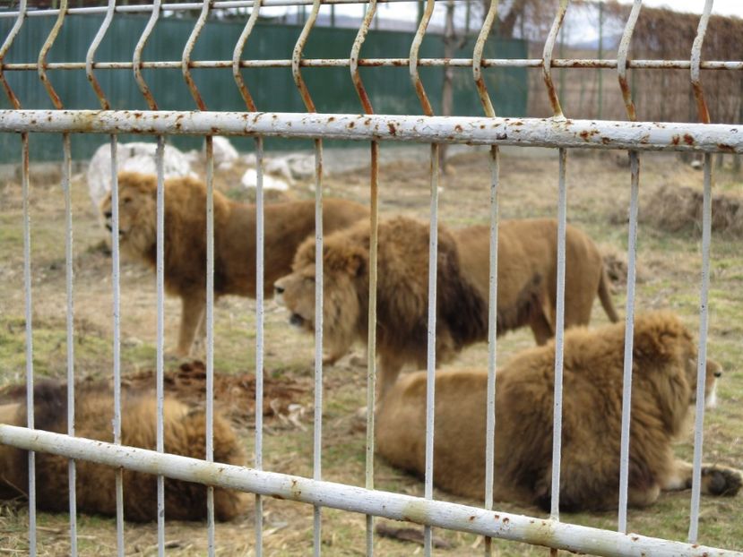  - 2017 - Excursie februarie