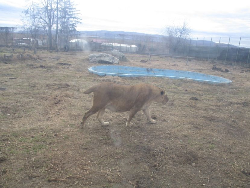  - 2017 - Excursie februarie