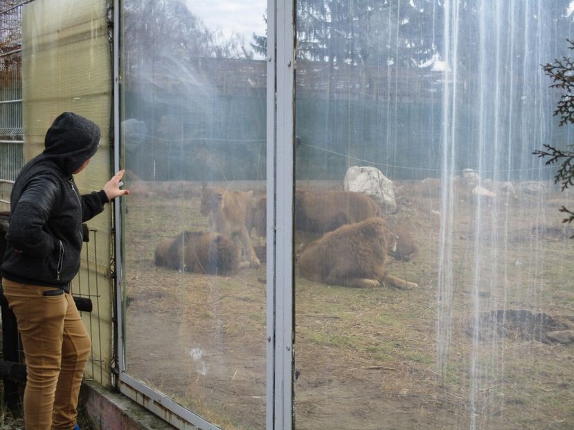  - 2017 - Excursie februarie