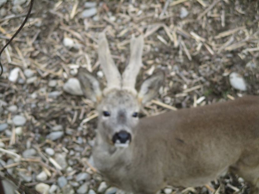  - 2017 - Excursie februarie