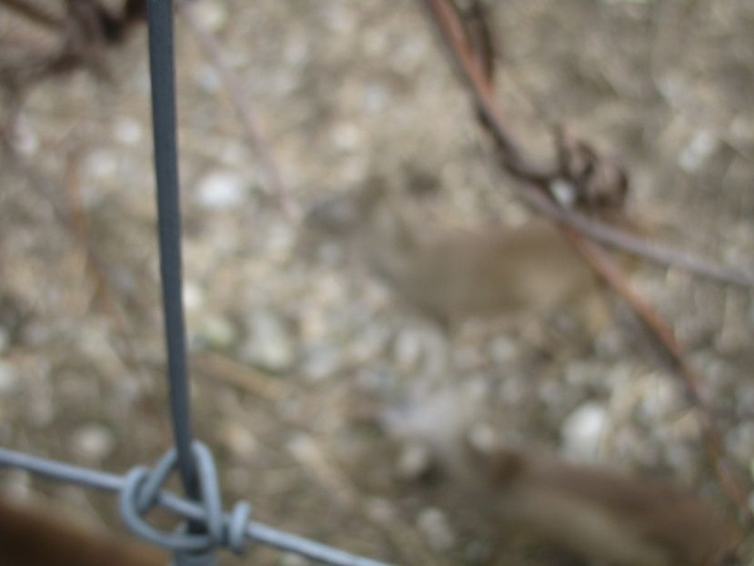  - 2017 - Excursie februarie