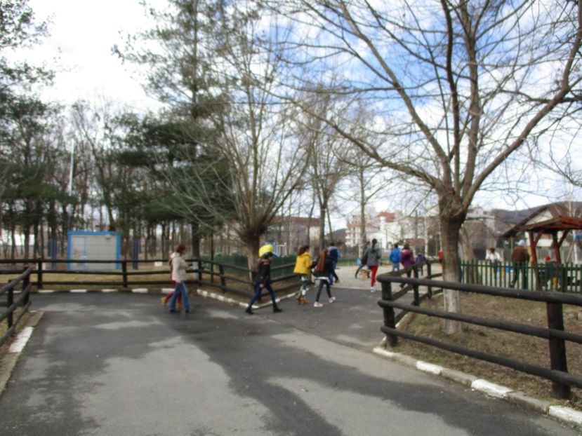  - 2017 - Excursie februarie