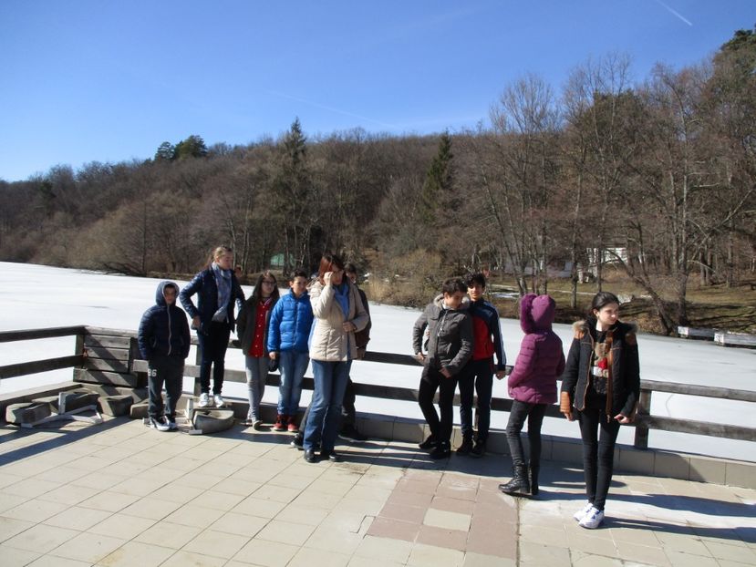  - 2017 - Excursie februarie