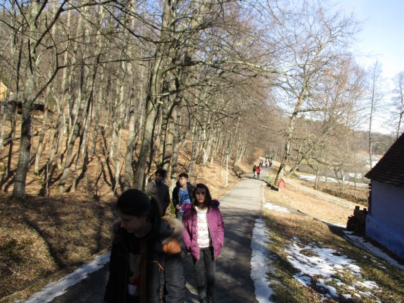  - 2017 - Excursie februarie