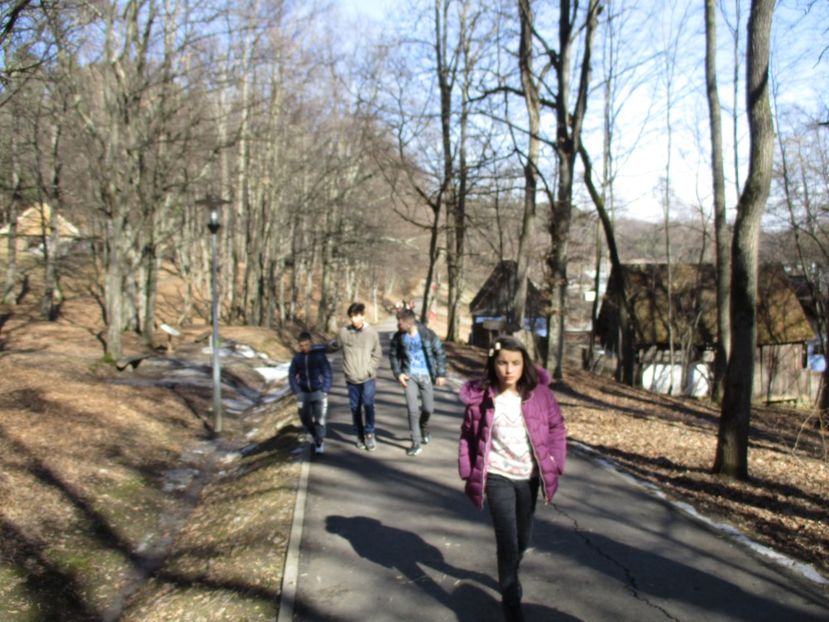  - 2017 - Excursie februarie