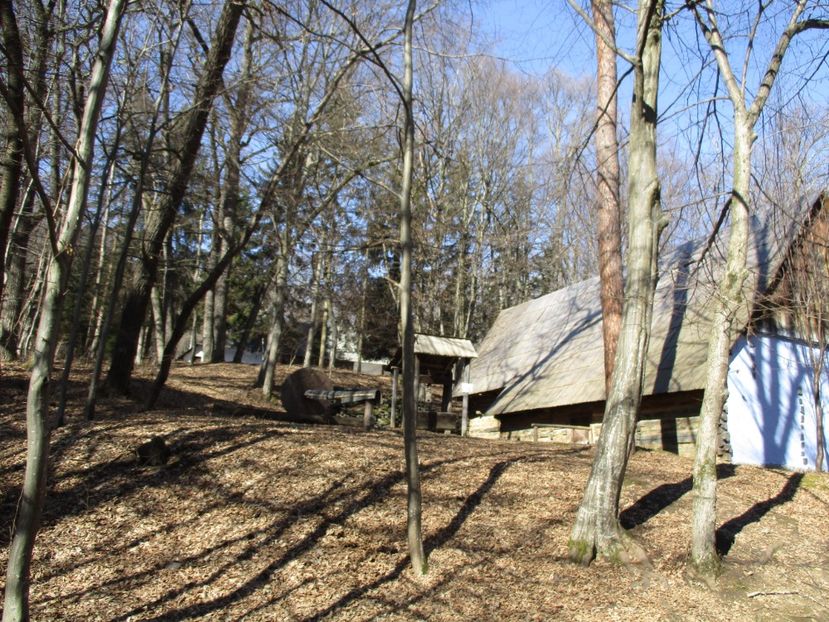  - 2017 - Excursie februarie