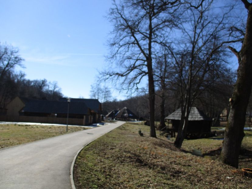  - 2017 - Excursie februarie