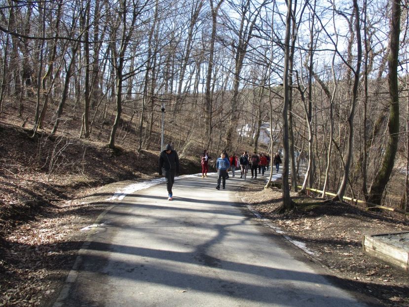  - 2017 - Excursie februarie