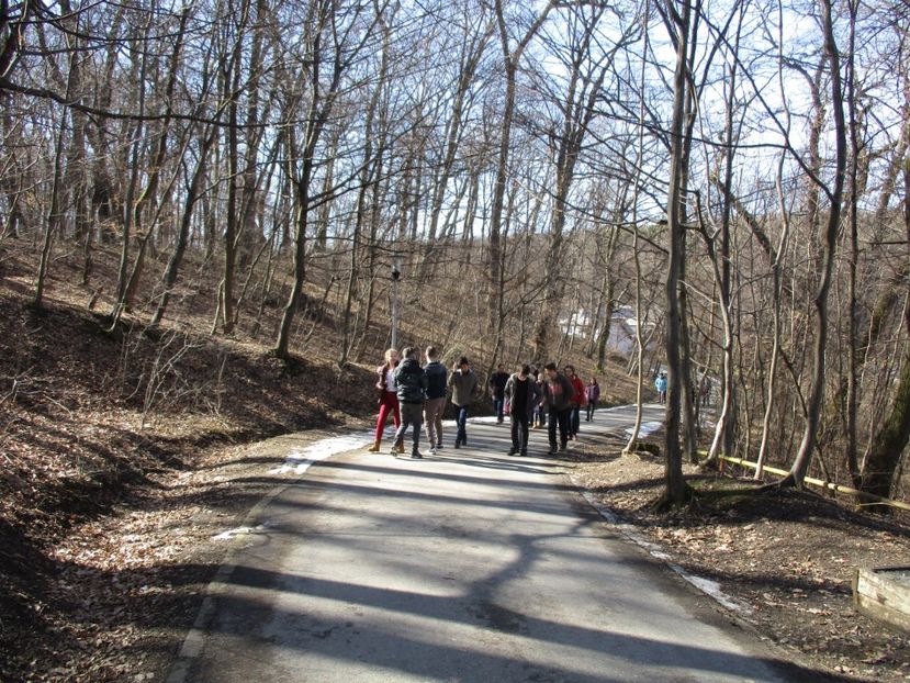  - 2017 - Excursie februarie