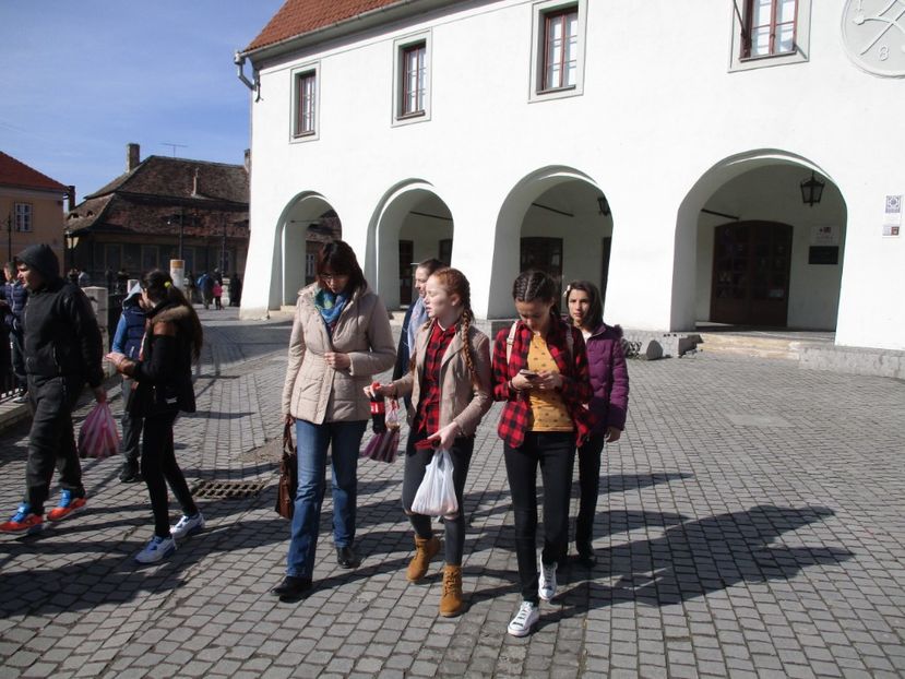  - 2017 - Excursie februarie
