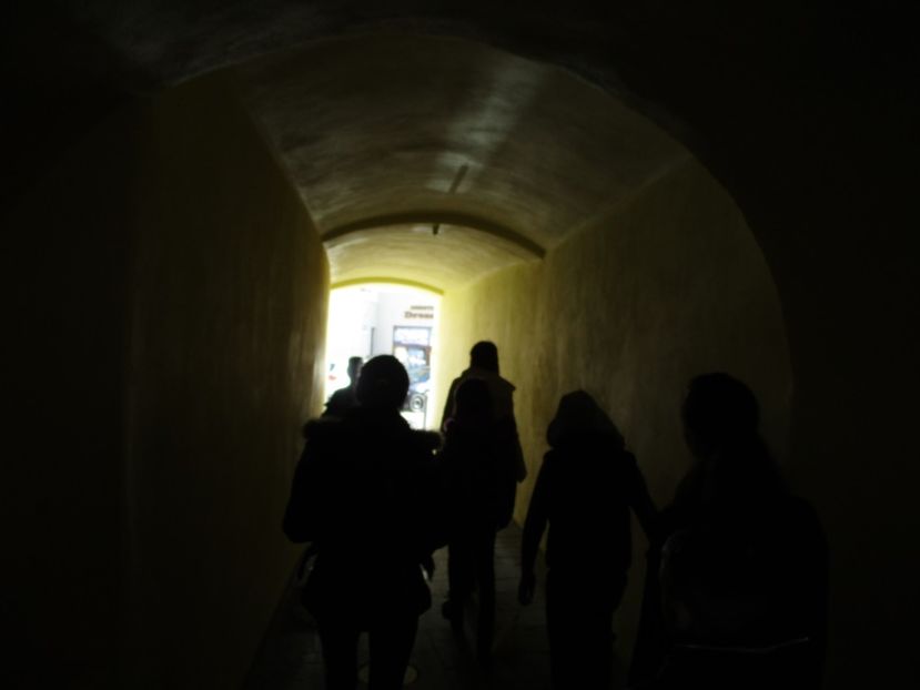  - 2017 - Excursie februarie