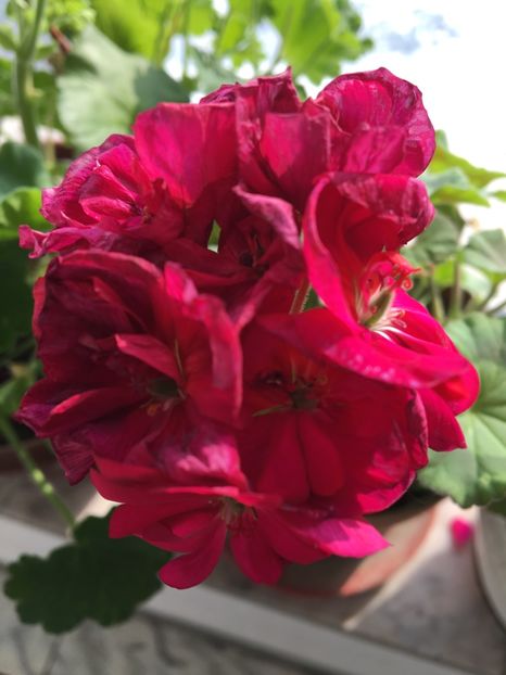  - Ianuarie -Februarie 2017