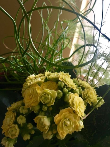  - Ianuarie -Februarie 2017