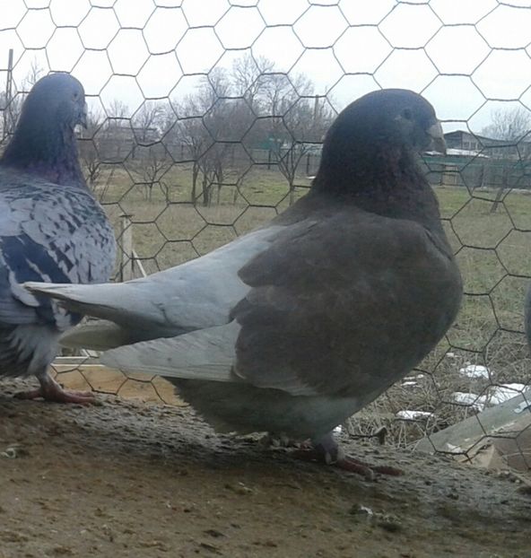 20170221_135959-1 - Contact