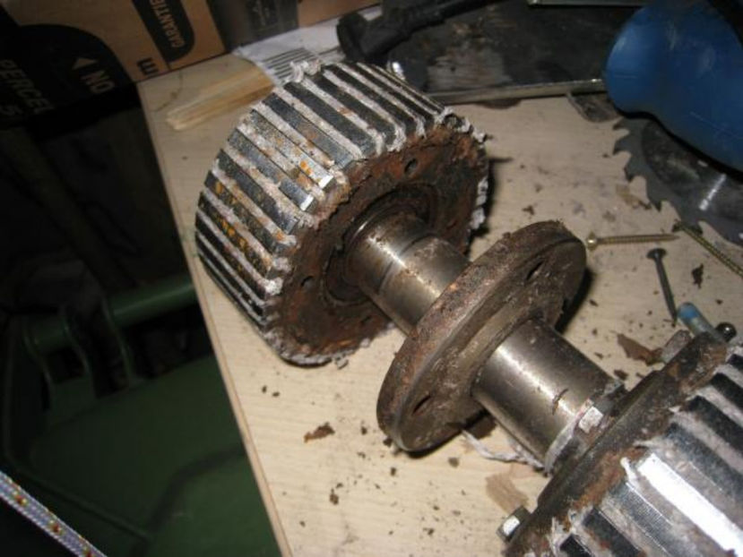 zim_rouleaux-3 - un proect pe viitor