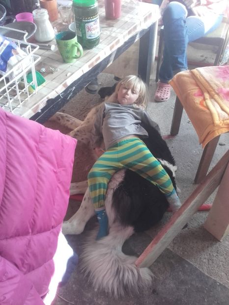 medeea si hera - Ciobanesti de bucovina