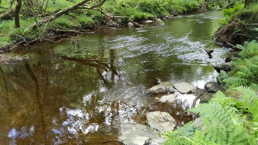 IMG-20160810-WA0050 - Wiclow