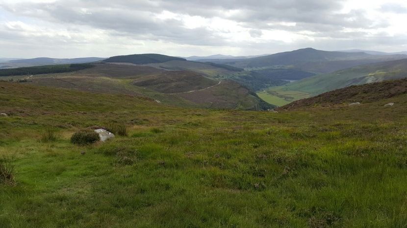 IMG-20160810-WA0111 - Wiclow