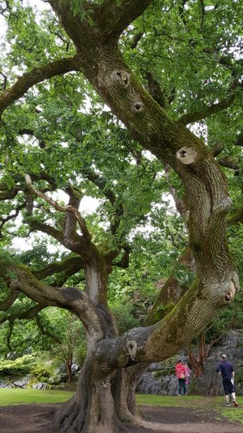 IMG-20160717-WA0023 - Muckrockhouse