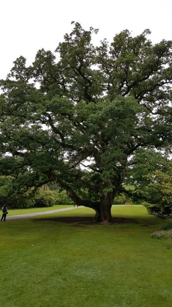 IMG-20160717-WA0029 - Muckrockhouse