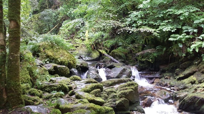 IMG-20160718-WA0160 - Muckrockhouse