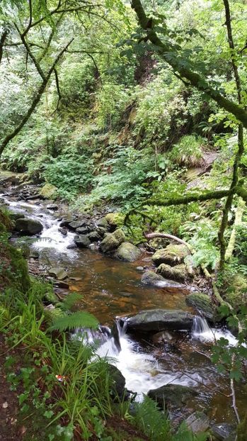 IMG-20160718-WA0164 - Muckrockhouse