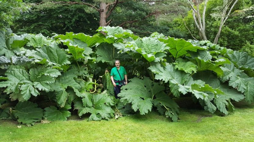 IMG-20160718-WA0212 - Muckrockhouse