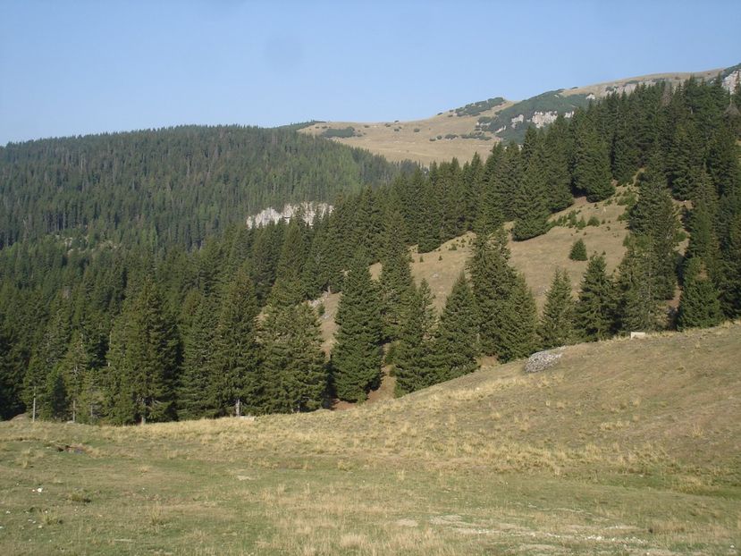  - Prin Bucegi