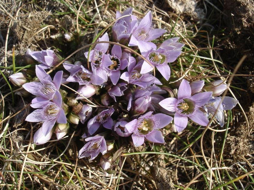  - Prin Bucegi
