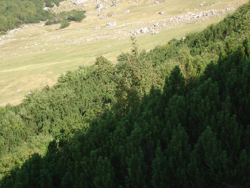  - Prin Bucegi