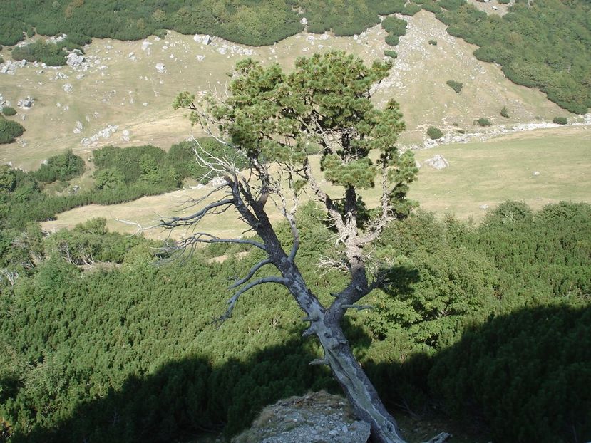  - Prin Bucegi