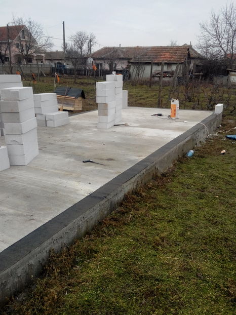  - AAA NOUL ADAPOST PENTRU IEPURI