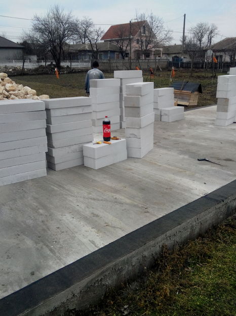  - AAA NOUL ADAPOST PENTRU IEPURI