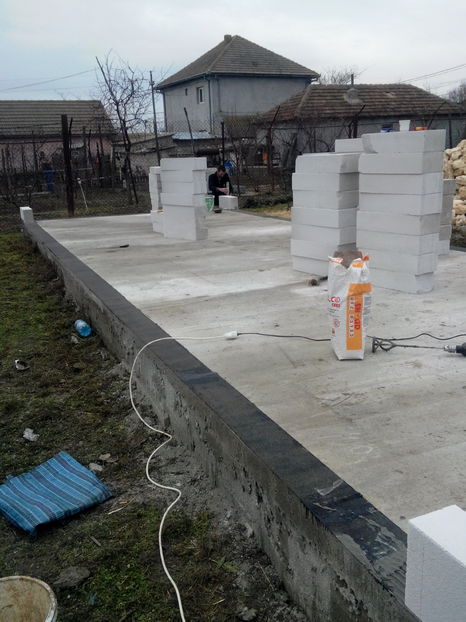  - AAA NOUL ADAPOST PENTRU IEPURI