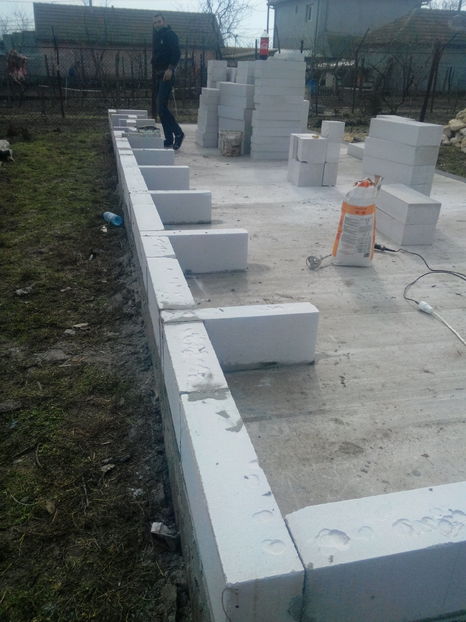 57 de boxe - AAA NOUL ADAPOST PENTRU IEPURI