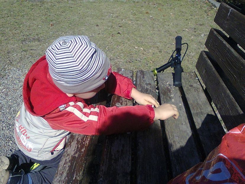 Fotografie2366 - Marc Thomas 2017