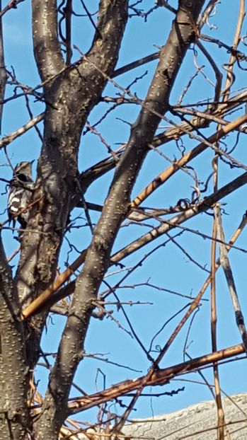  - stie cineva ce este