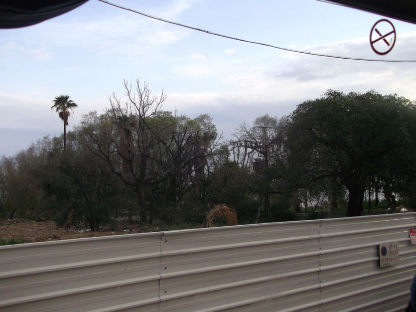 o gradina - a doua zi de pelerinaj