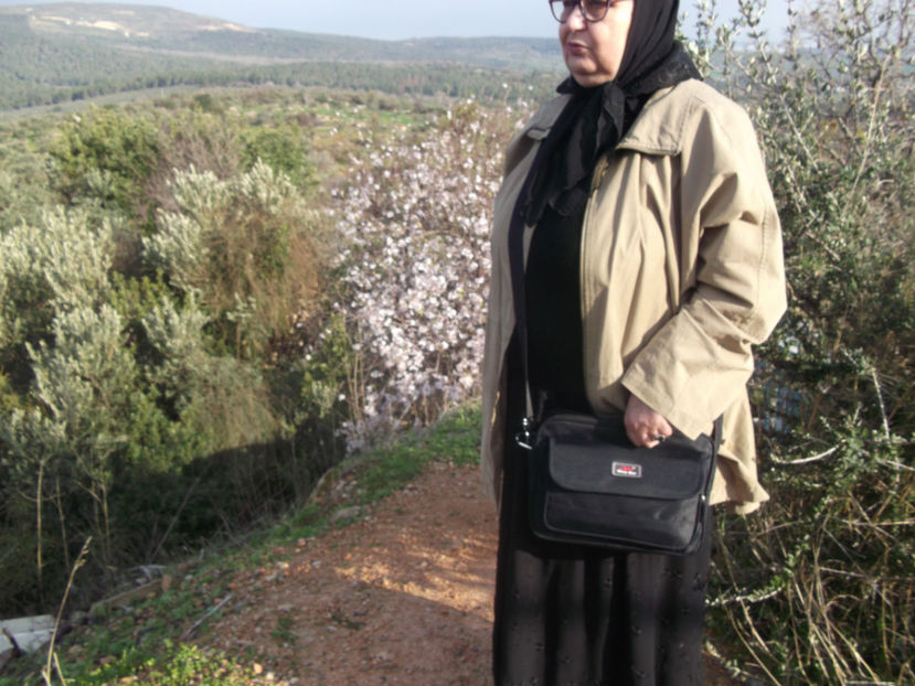 in spatele meu, pom de migdal - a doua zi de pelerinaj