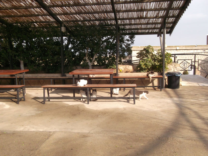 afara, in curte - a doua zi de pelerinaj